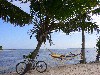 ein Haibike im Paradies